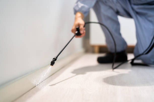 Licensed Mosquito Control service in Sammamish, WA - Show Me Pest Control