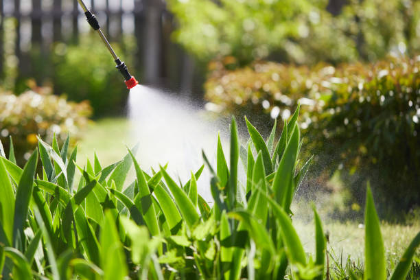 24/7 Emergency Mosquito Control experts in Sammamish, WA