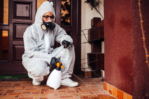 Reliable Mosquito Control contractor in Sammamish, WA by Show Me Pest Control